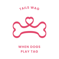 DogTag