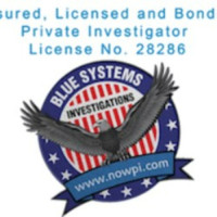 Blue Systems International