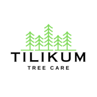 Tilikum Tree Care