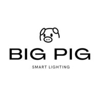Big Pig Smart Lighting