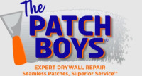 The Patch Boys of Dupage & Will Counties