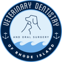 Veterinary Dentistry and Oral Surgery of Rhode Island