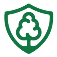Tree Scouts Tree Service Leander
