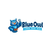 Blue Owl Plumbing