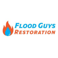 Flood Guys LLC
