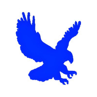 Blue Eagle Painting Inc