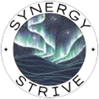Synergy Strive TMS - Silver Spring