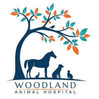 Woodland Animal Hospital