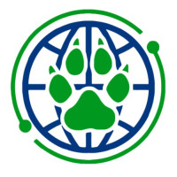 Wolferdawg IT Consulting