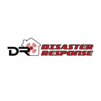 Disaster Response
