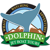 Alaska Whale Watch
