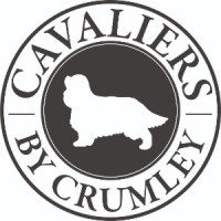 Cavaliers By Crumley
