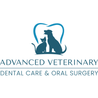 Advanced Veterinary Dental Care and Oral Surgery