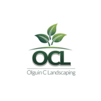 Olguin C Landscaping LLC