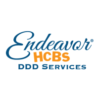 Endeavor DDD Services