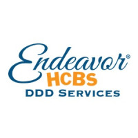 Endeavor DDD Services