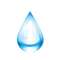 Fluidity Pool Designs