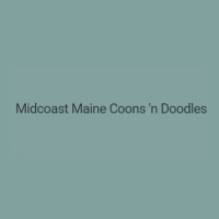 Midcoast Maine Coons n Doodles