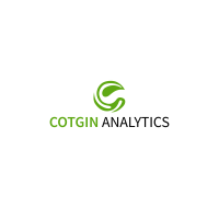 Best Web Design Agency | Cotgin Analytics