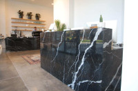 stone spiritinc
