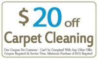 Pro Carpet Cleaning Spring