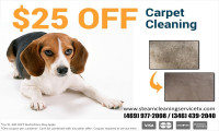 Steam Cleaning Service Dallas TX