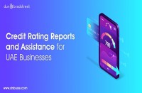 Top Credit Rating Agencies in Dubai, UAE | DNB