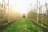 Farm products Australia