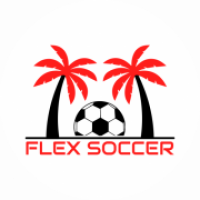 Flex Soccer Training
