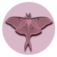 Fibroblast Facelift