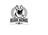 SUE K9 BELGIAN MALINOIS PUPPIES