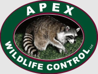 Apex Wildlife Control LLC.