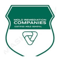 Newport News Mold Remediation Pros