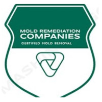 Sacramento Mold Remediation Pros