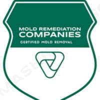 Flower Mound Mold Remediation Pros