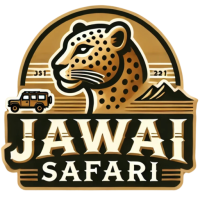 Best leopard safari