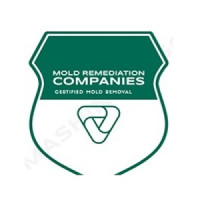 Fall River Mold Remediation Pros