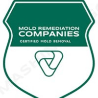 Ann Arbor Mold Remediation Pros