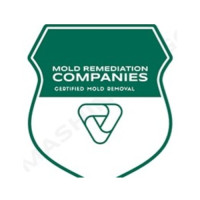 Novi Mold Remediation Pros