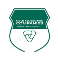 Colorado Springs Mold Remediation Pros