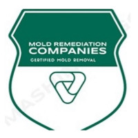 Scottsdale Mold Remediation Pros
