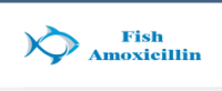THE FISH MOX AMOXICILLIN
