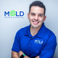 24/7 Mold Inspection Los Angeles