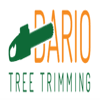 Dario Tree Trimming