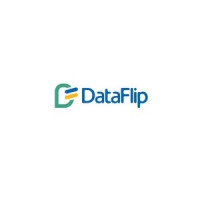 Data Flip