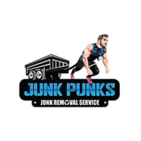 Junk Punks