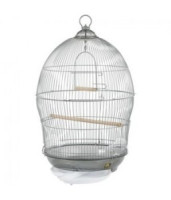 Bird Cages – Safe, Stylish & Spacious Homes for Your Birds