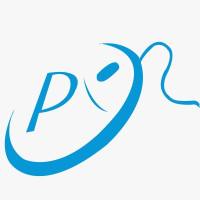 Pinaka Digital Info Solution Pvt Ltd
