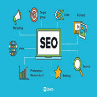 hasnain seo working
