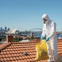 Fresh Dead Animal Specialist Melbourne